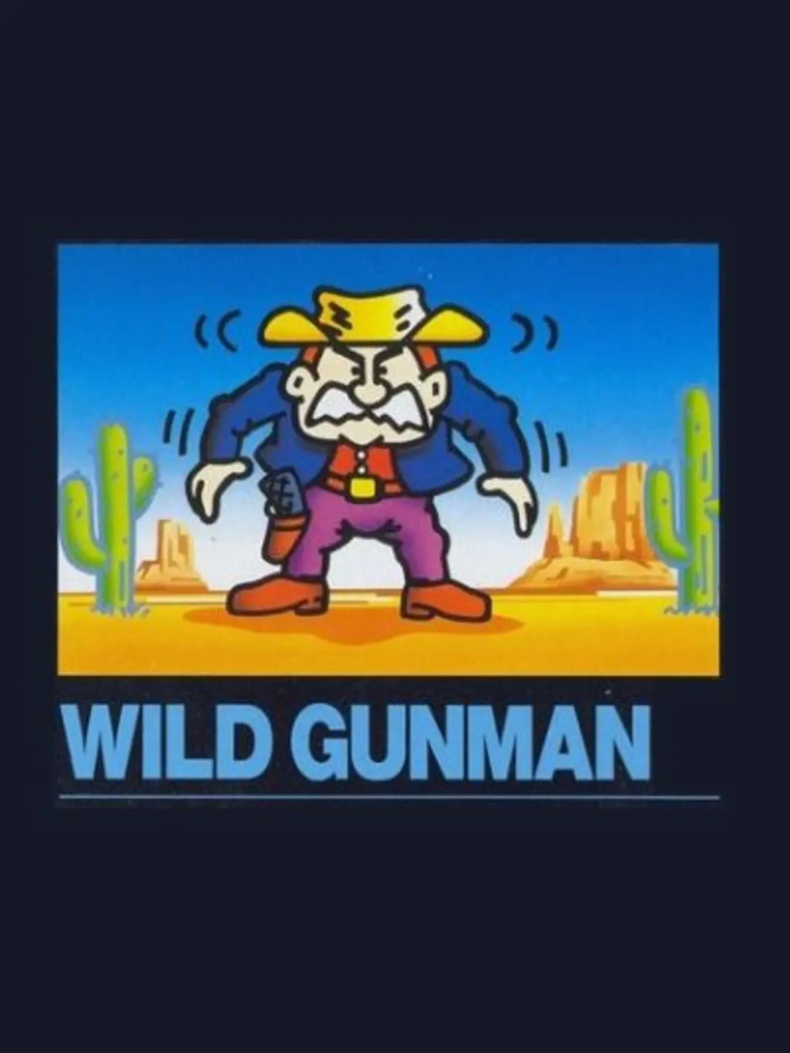 Picture of Wild Gunman (2)