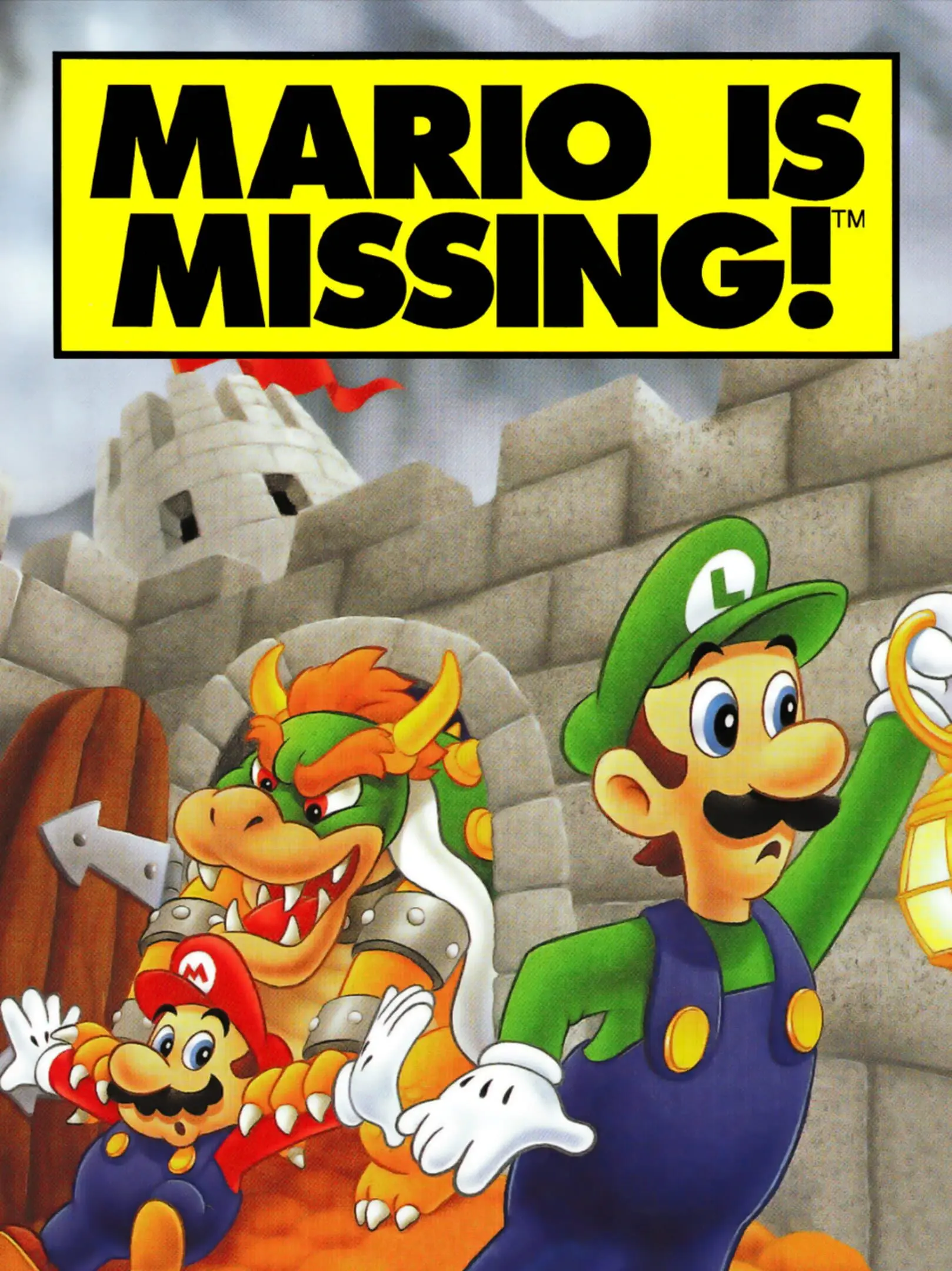 Picture of Mario Is Missing!