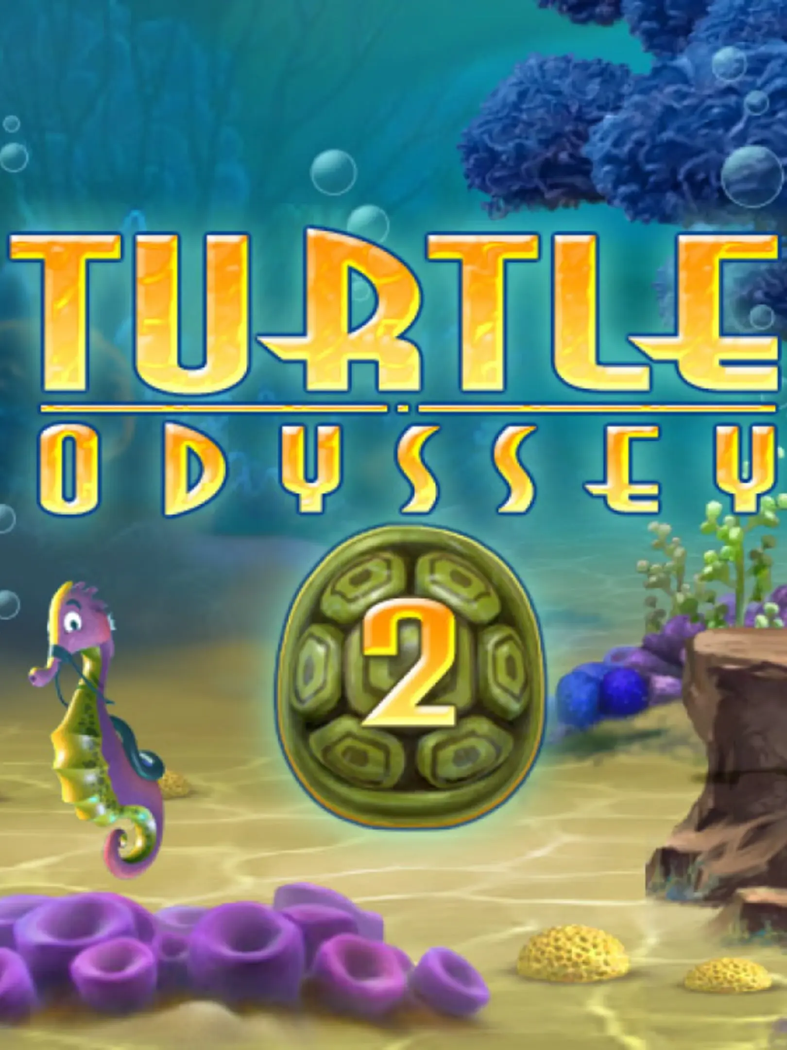Picture of Turtle Odyssey 2