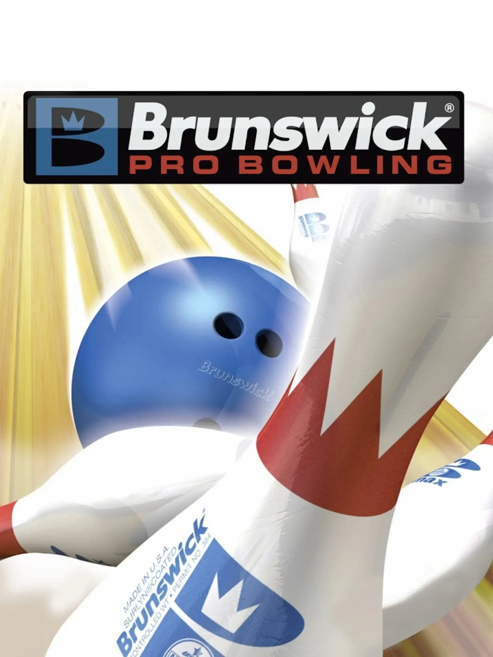 Picture of Brunswick Pro Bowling