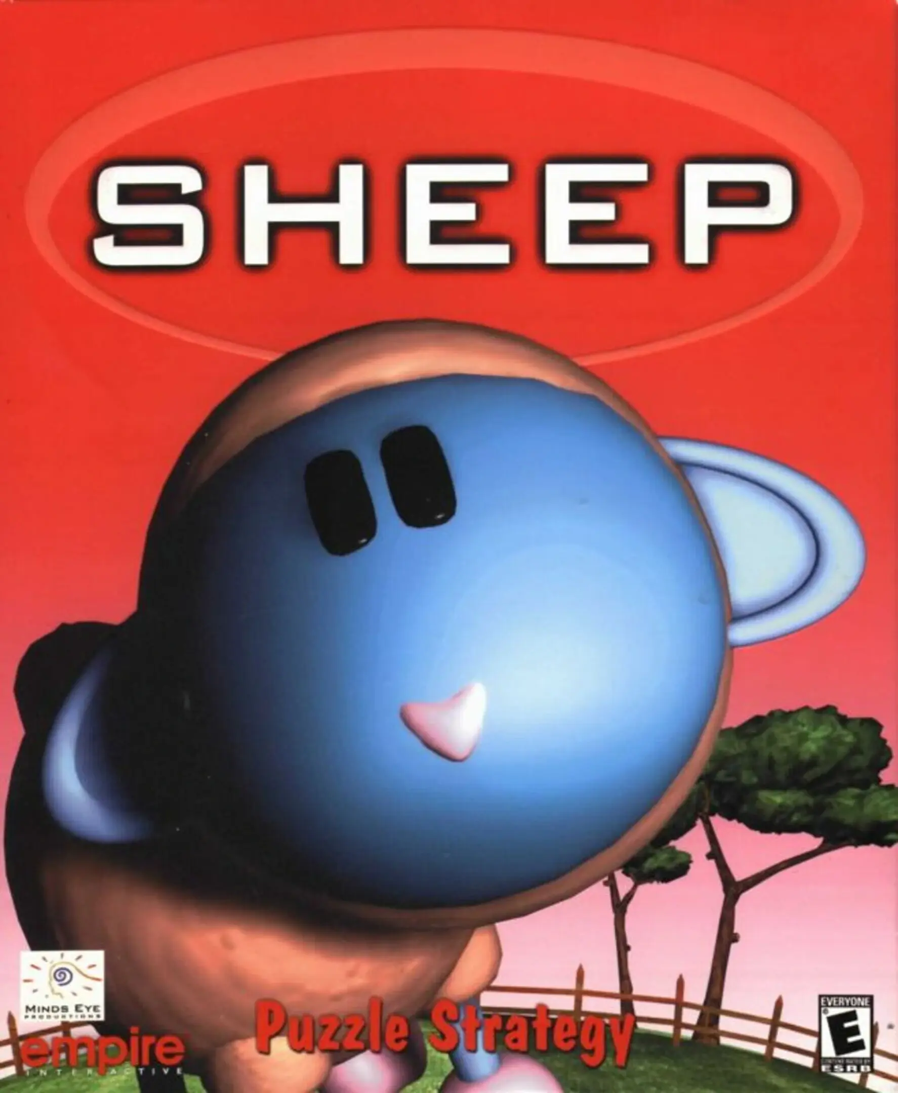 Sheep!