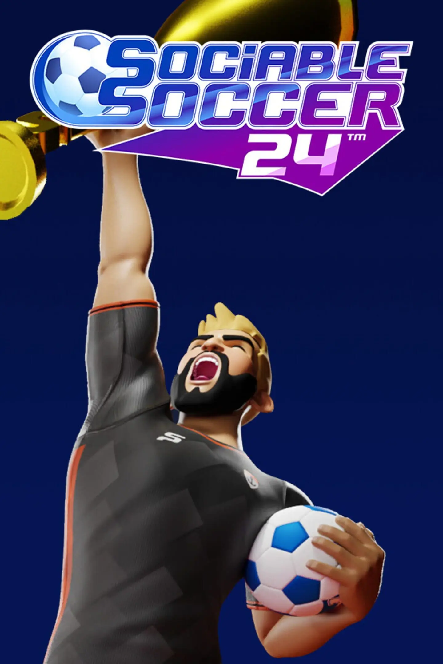 Picture of Sociable Soccer 24