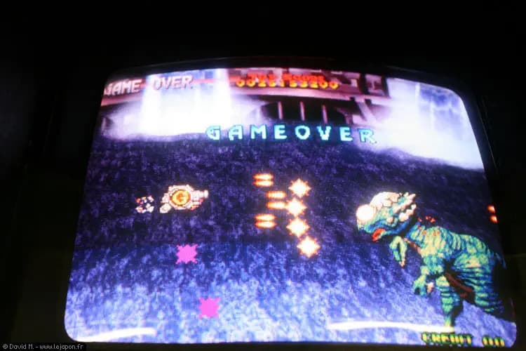 Picture of Pony Video Game 4