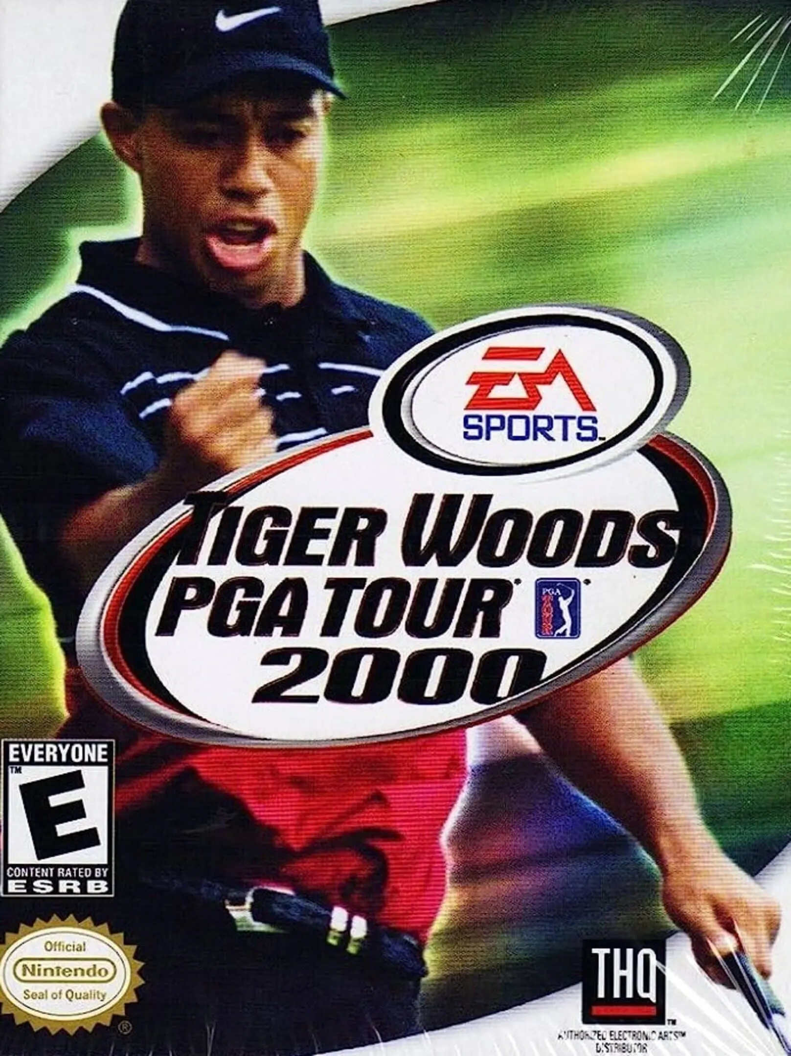 Picture of Tiger Woods PGA Tour 2000