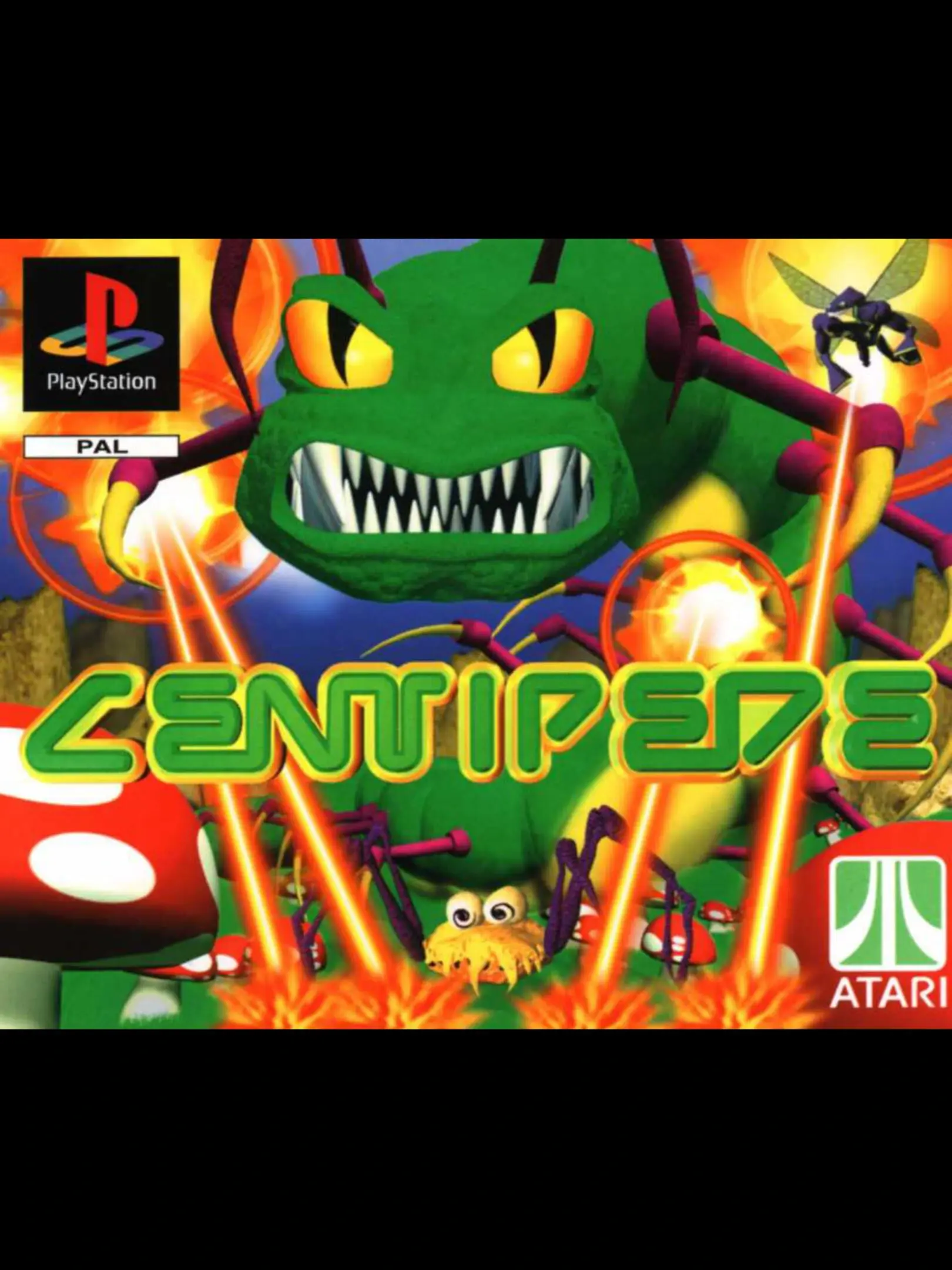 Picture of Centipede (2)