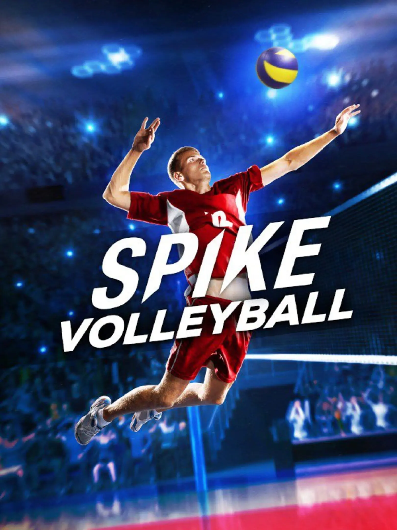 Picture of Spike Volleyball