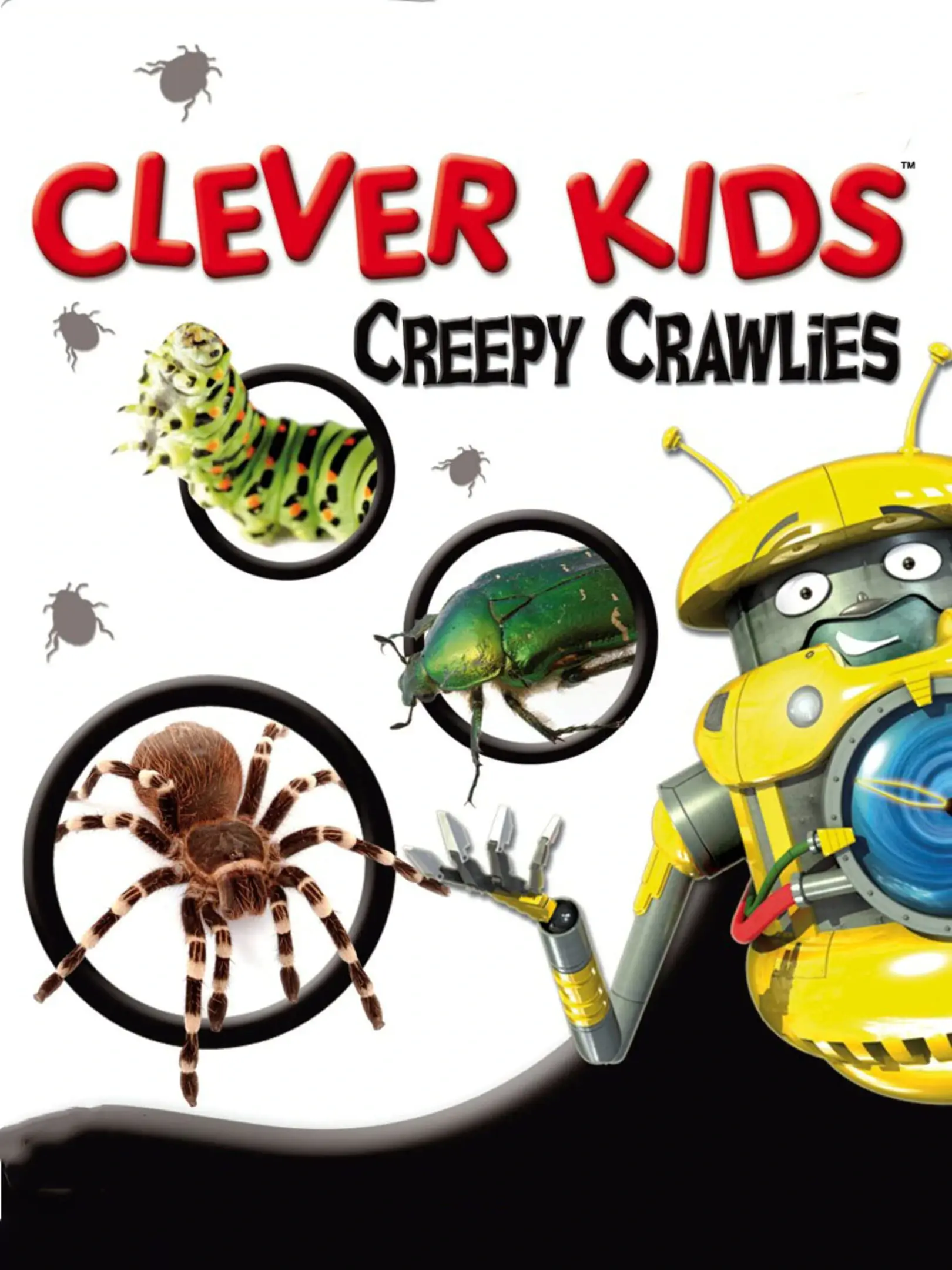 Clever Kids: Krabbeltiere