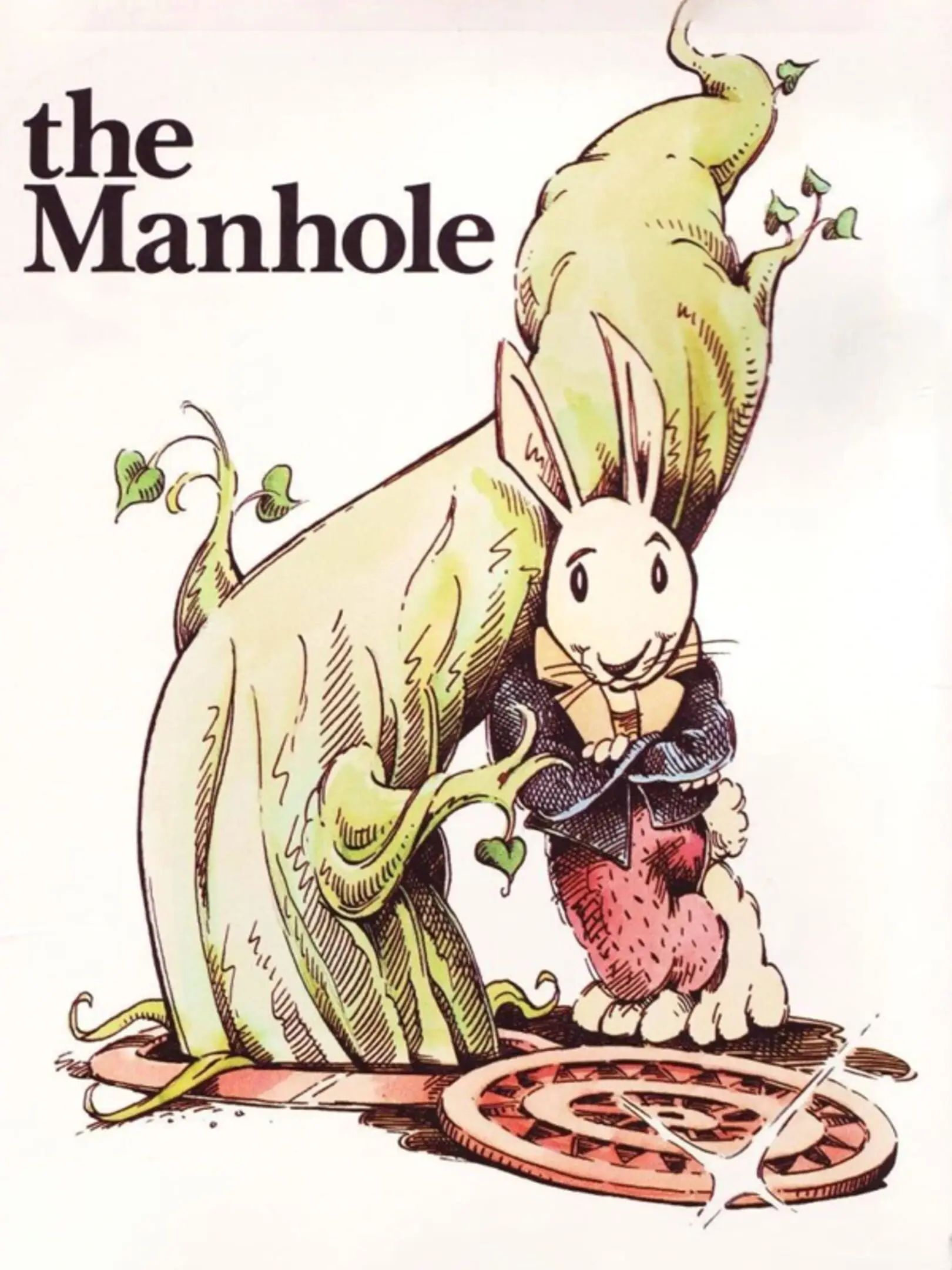 Picture of The Manhole