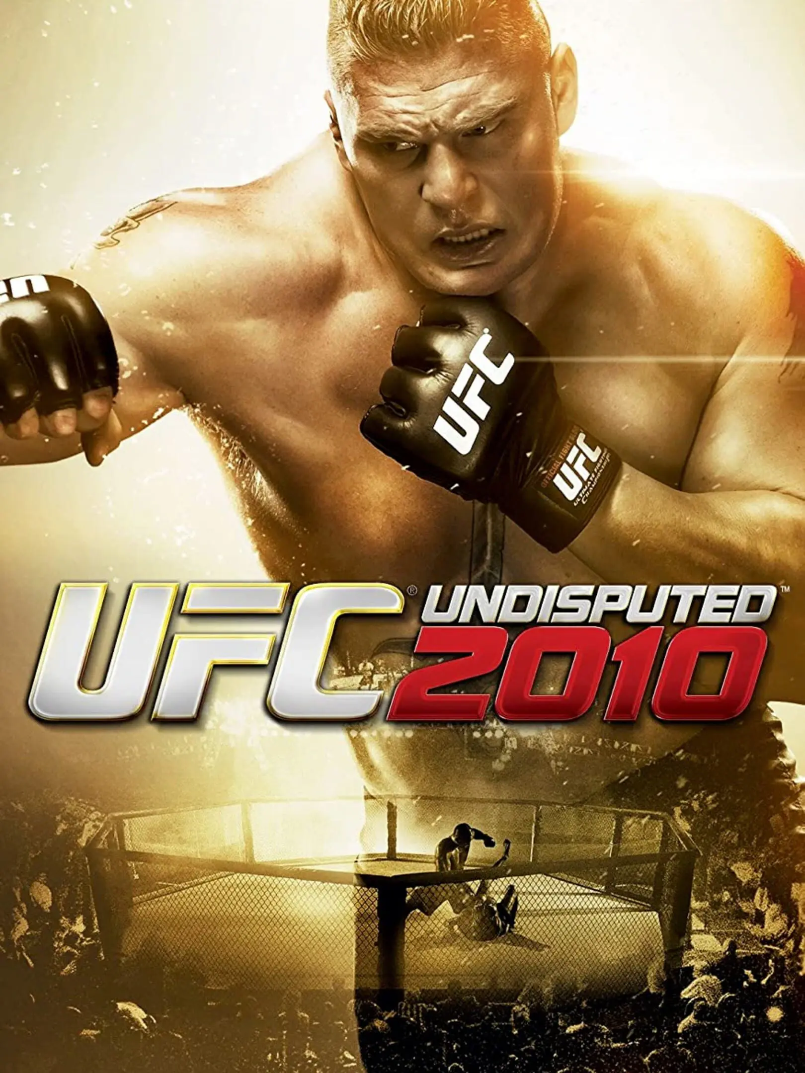 Picture of UFC Undisputed 2010