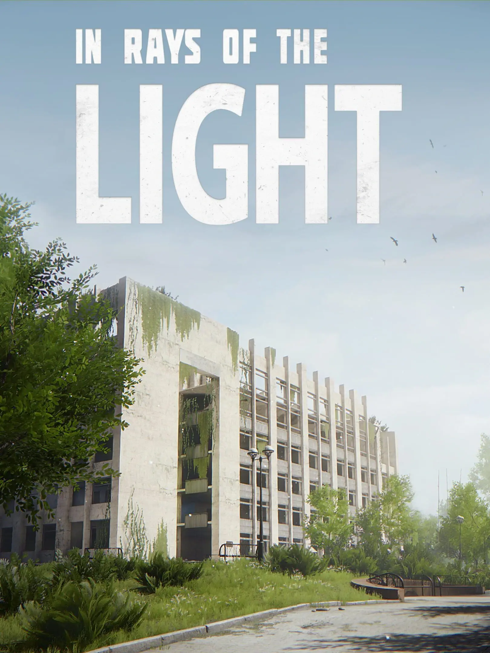 Picture of In rays of the Light
