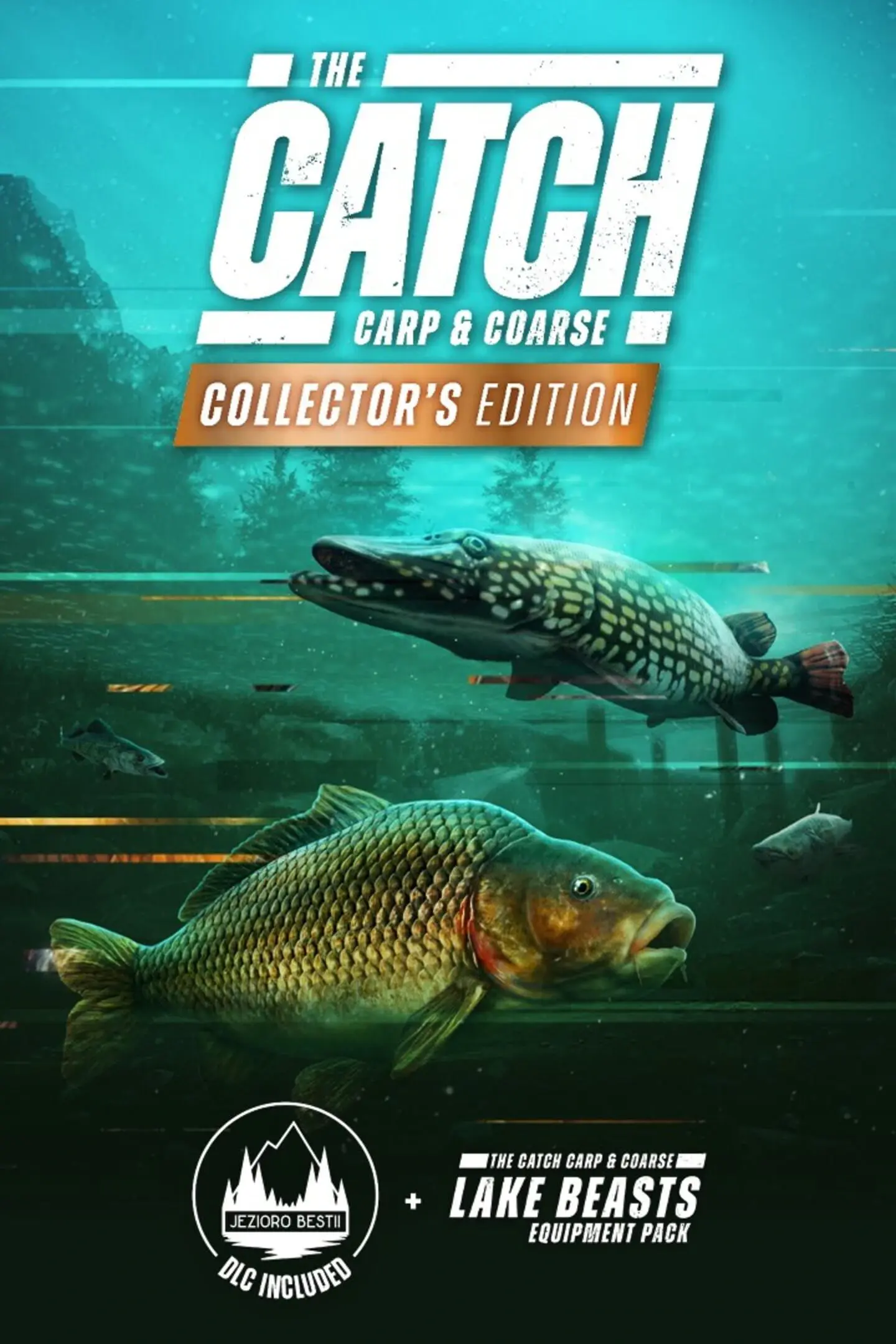 Picture of The Catch: Carp & Coarse