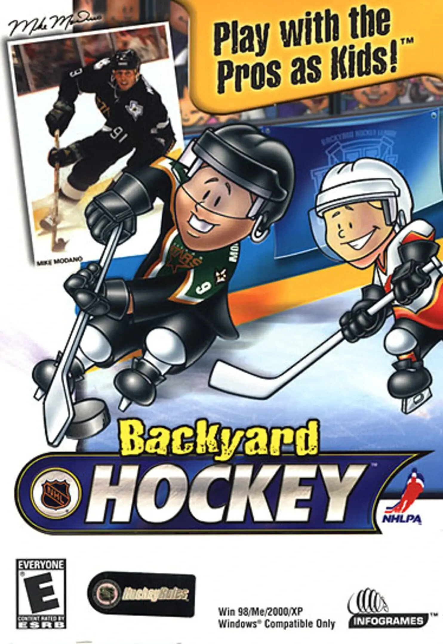 Picture of Backyard Hockey