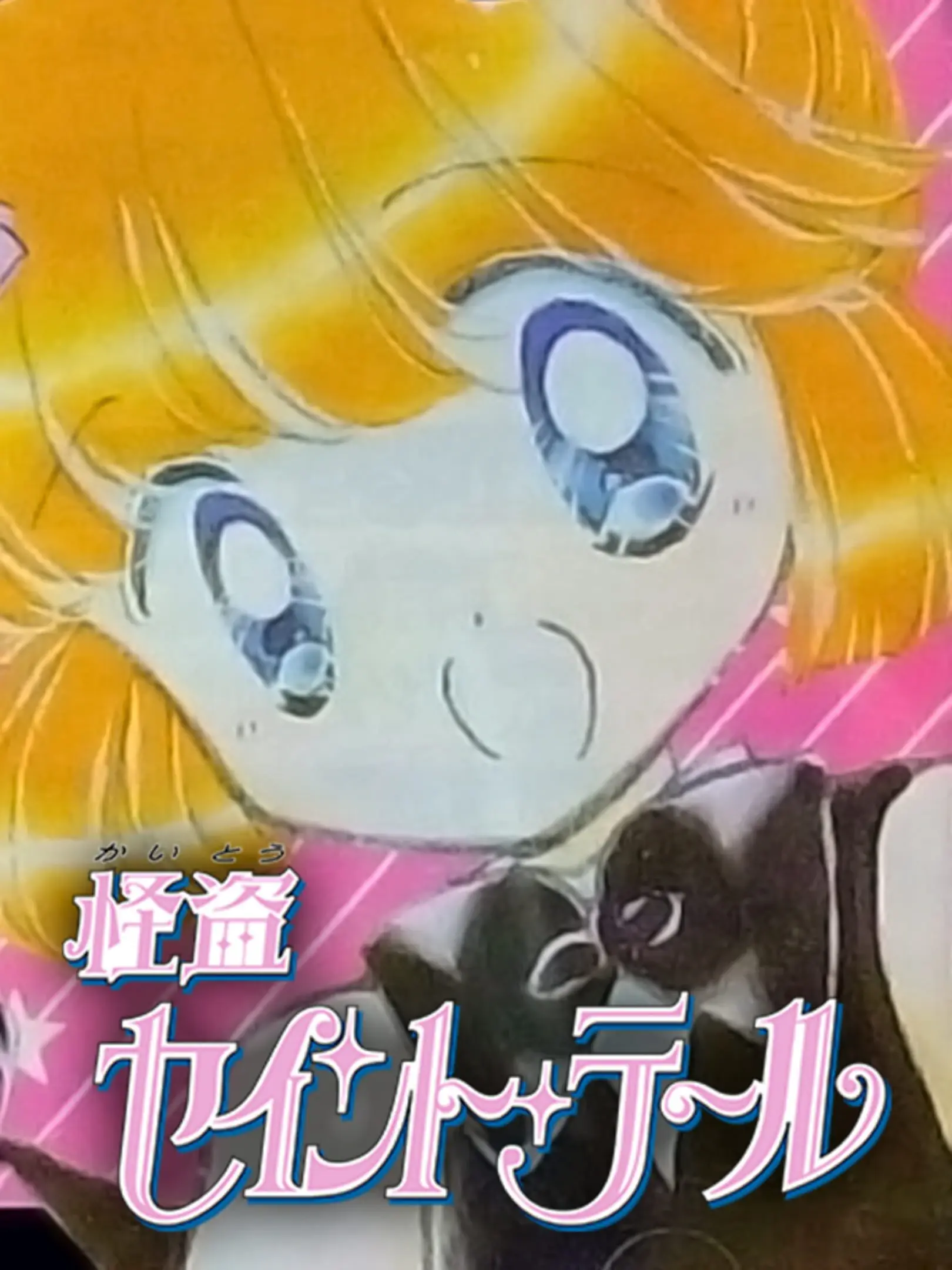 Picture of Kaitou Saint Tail