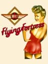 Picture of B17 Flying Fortress