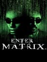 Picture of Enter the Matrix