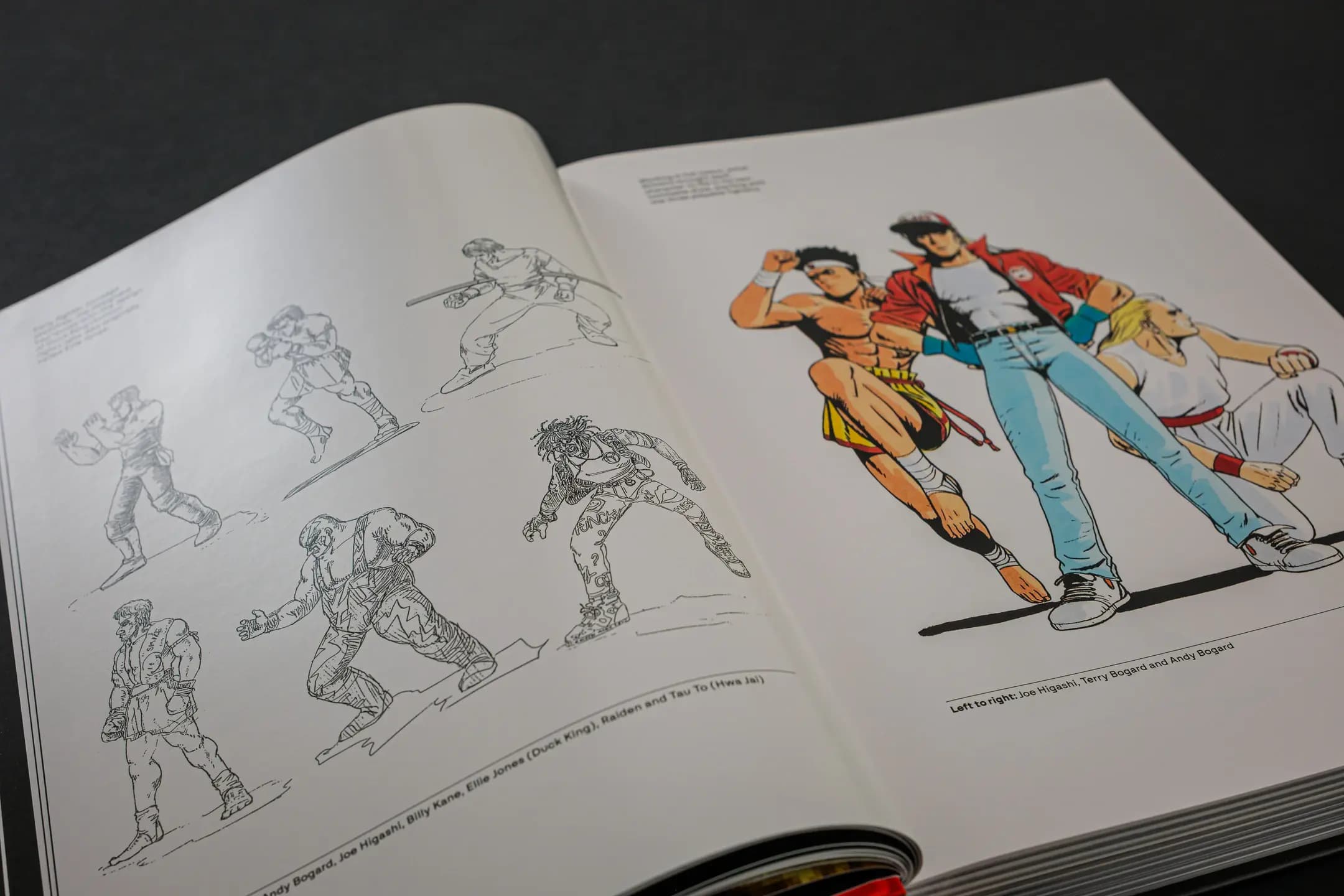 Picture of Fatal Fury/Garou Densetsu: The Ultimate History 7