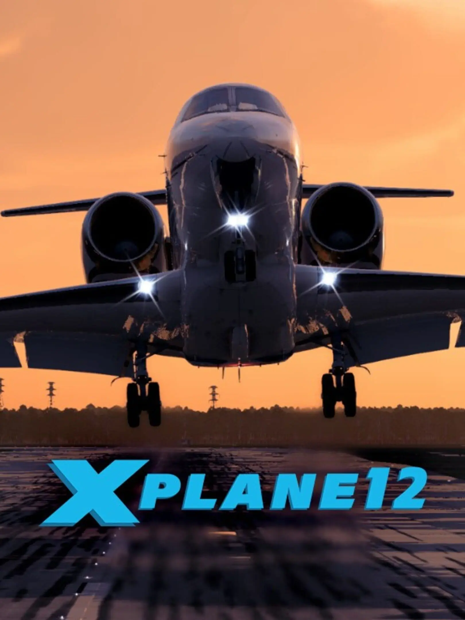 Picture of X-Plane 12