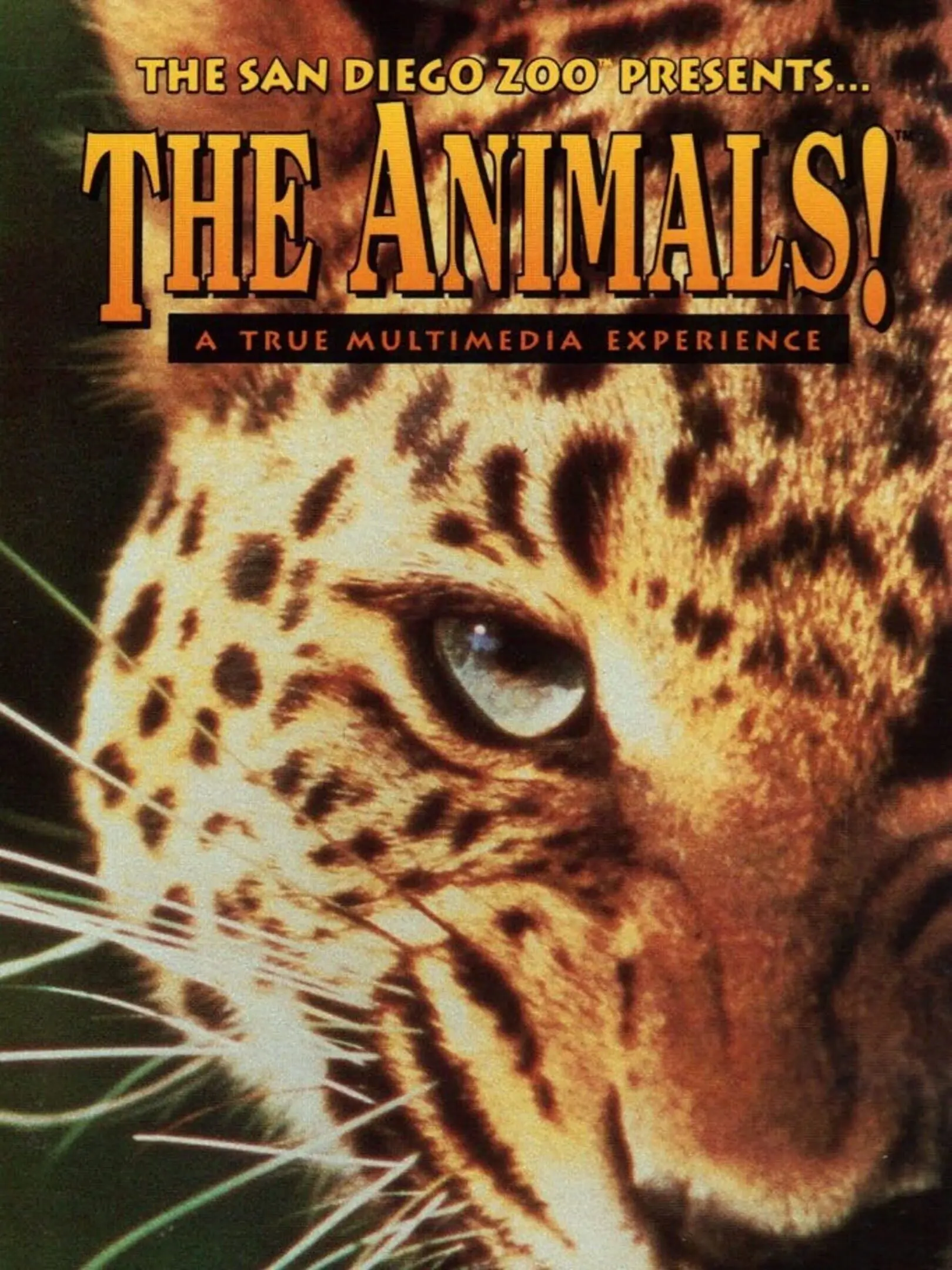 Picture of The Animals!