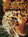 Picture of The Animals!