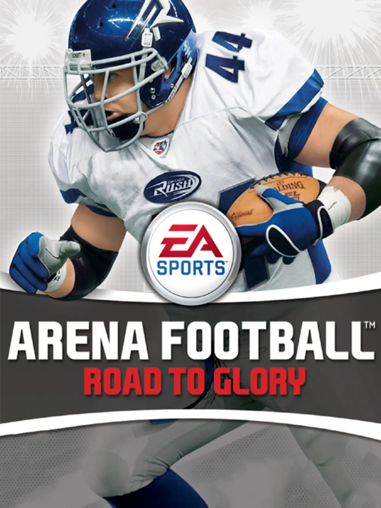 Picture of Arena Football: Road to Glory