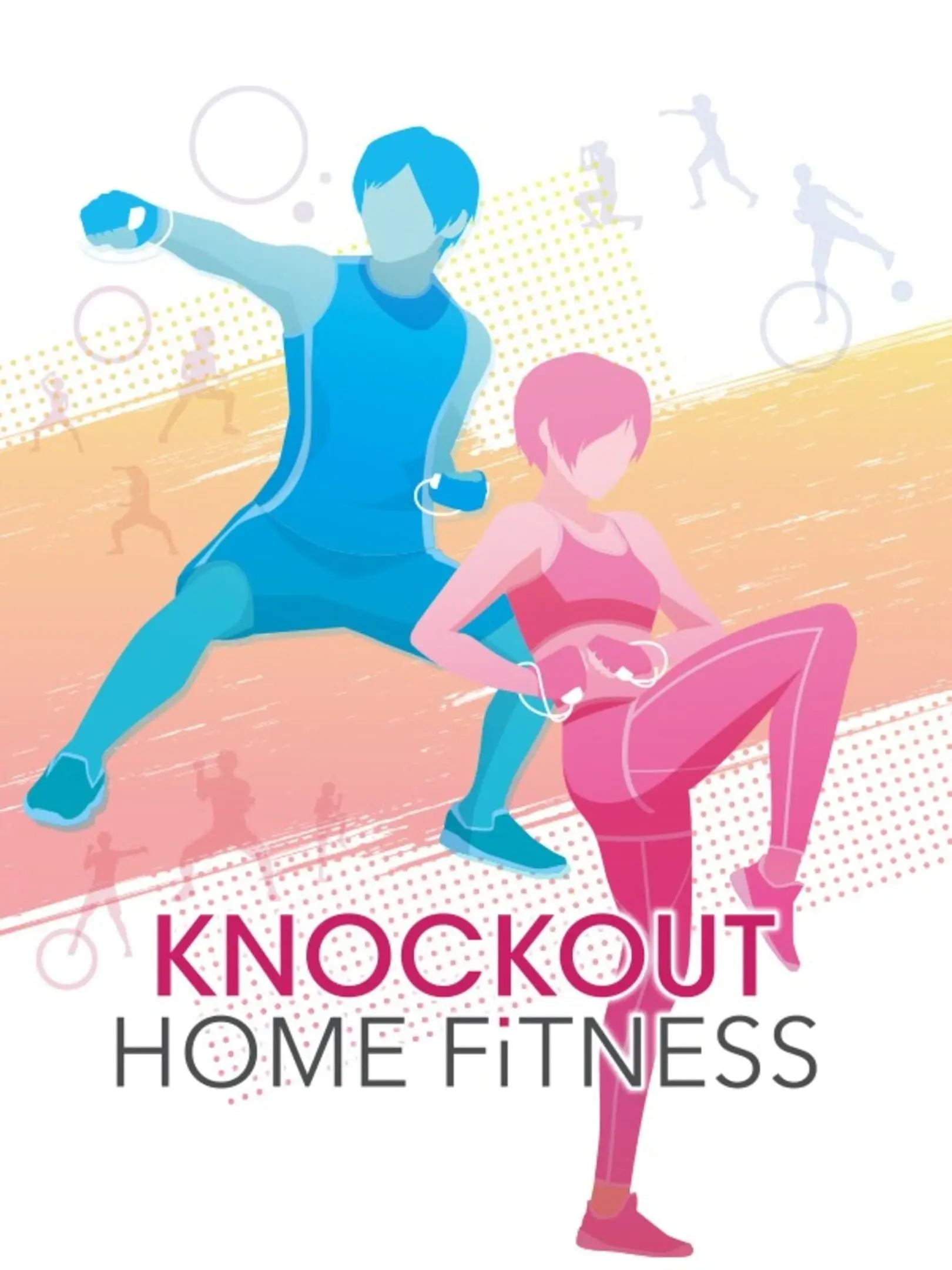 Picture of Knockout Home Fitness