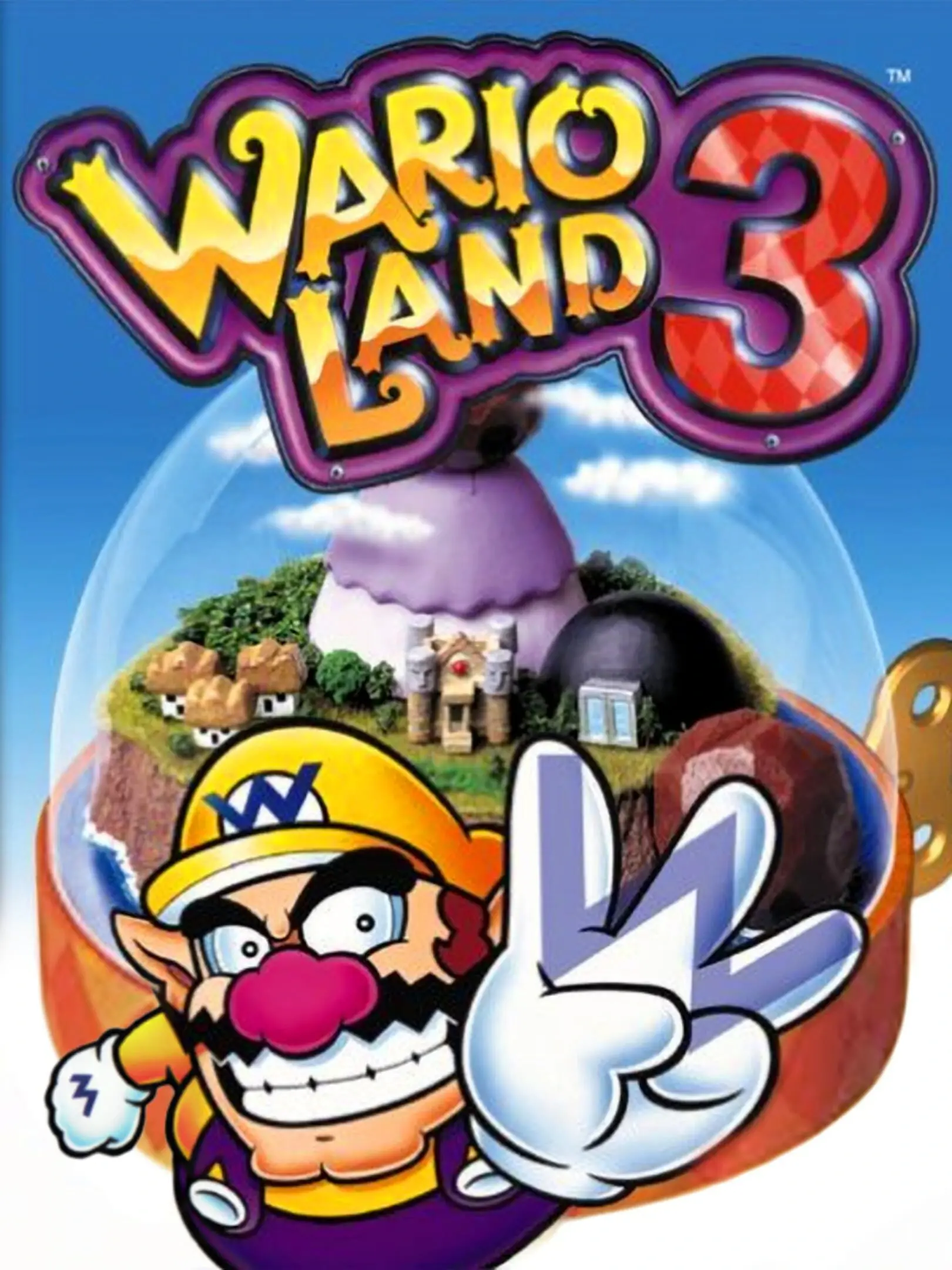 Picture of Wario Land 3