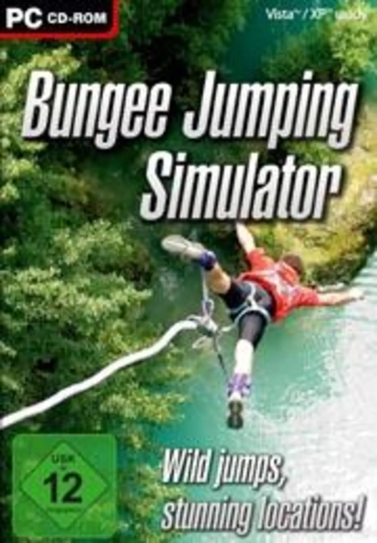 Picture of Bungee Jumping Simulator