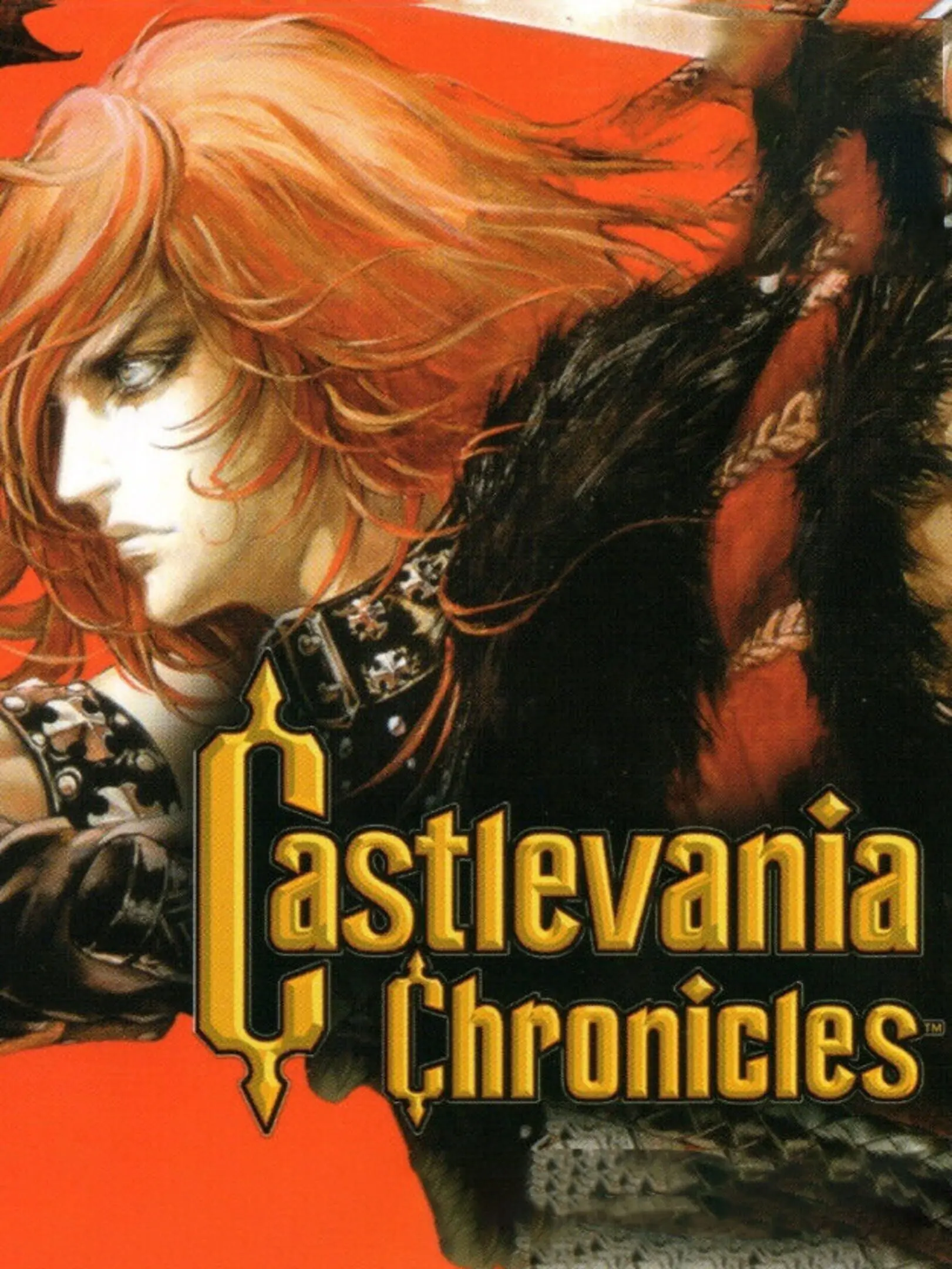 Picture of Castlevania Chronicles 2