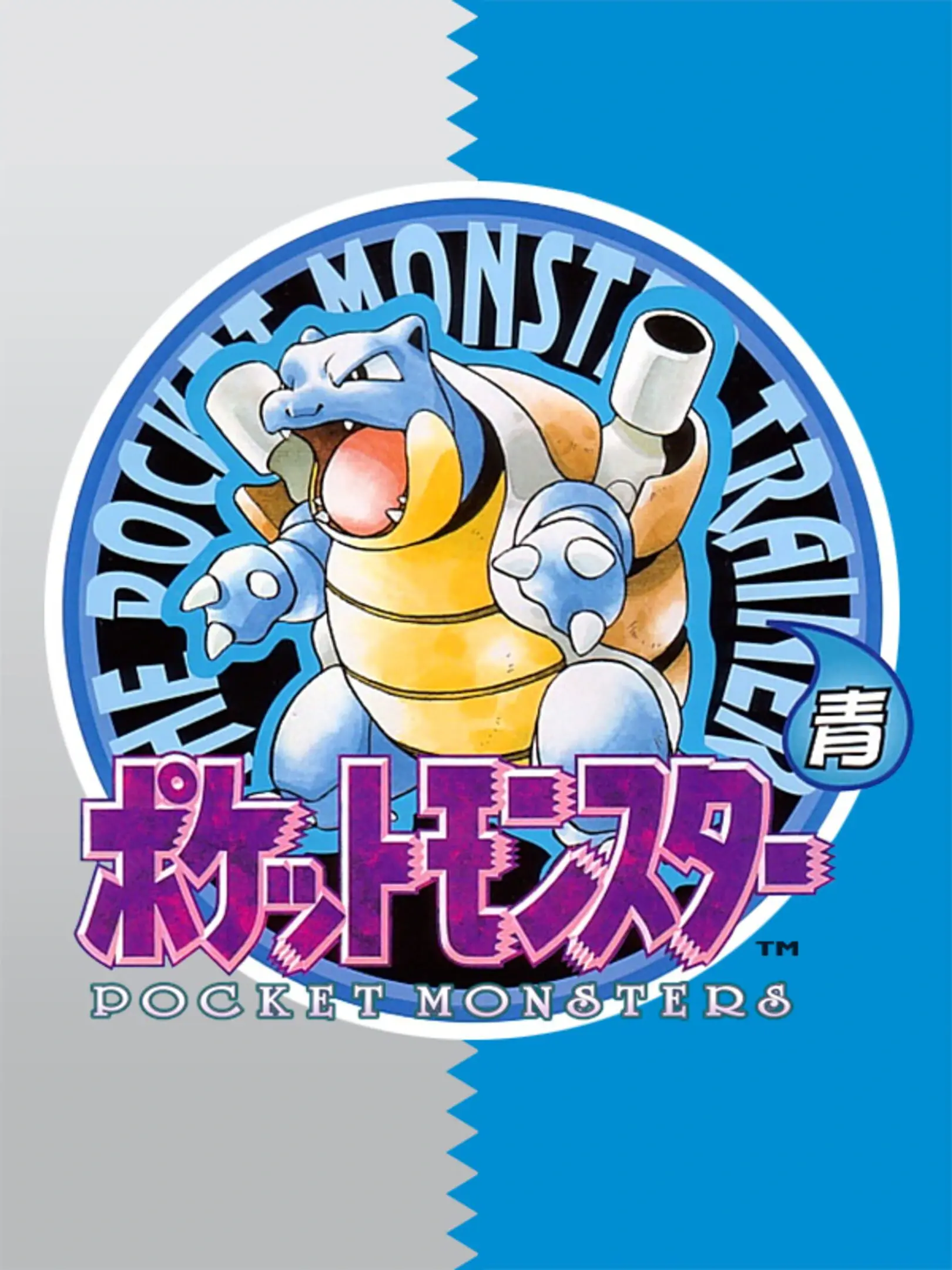 Picture of Pokémon Blue Version 3