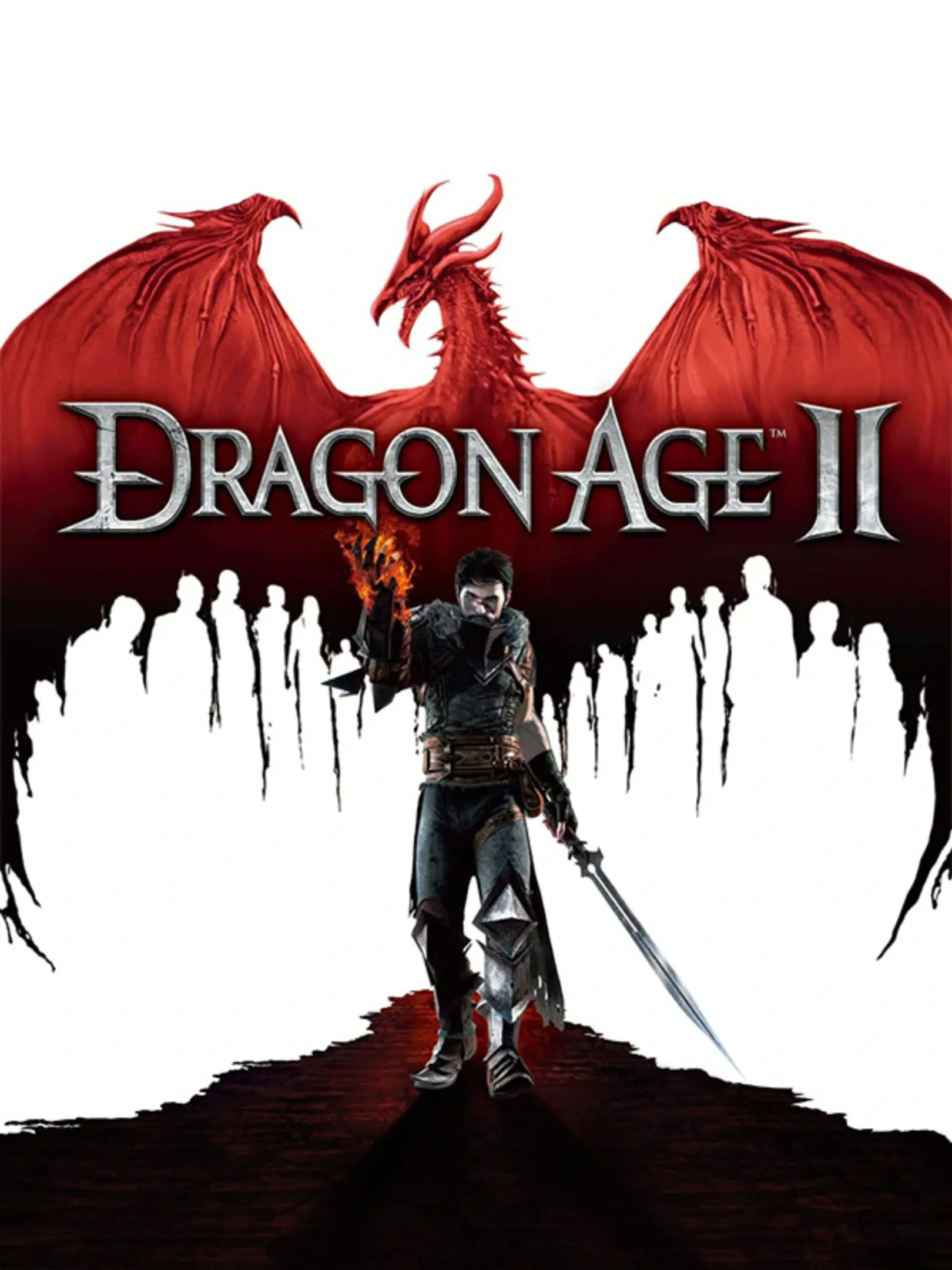 Picture of Dragon Age II 2