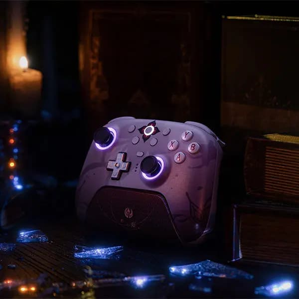 Picture of 8BitDo Ultimate 2 Wireless Controller 10
