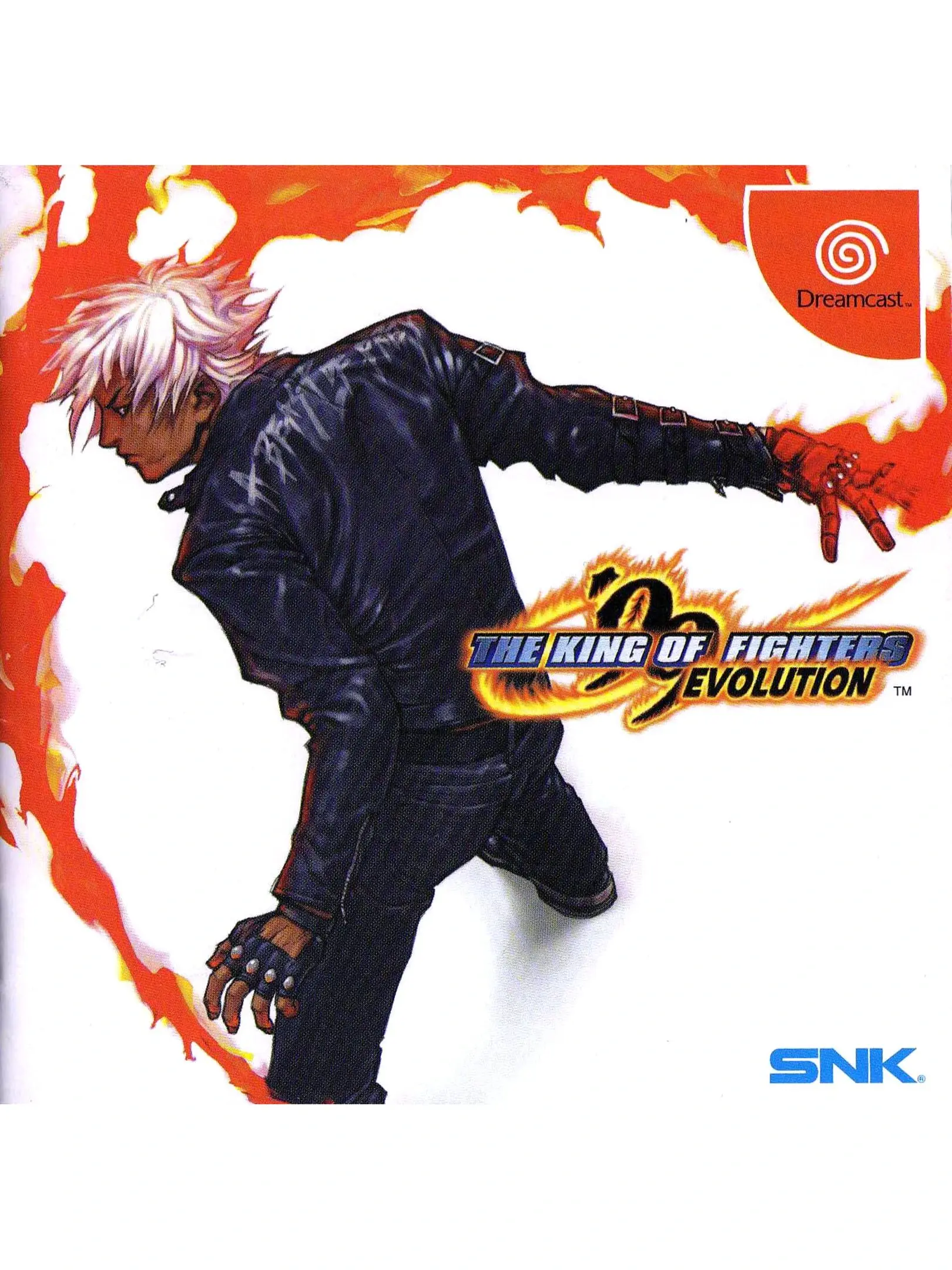 Picture of The King of Fighters Evolution 2
