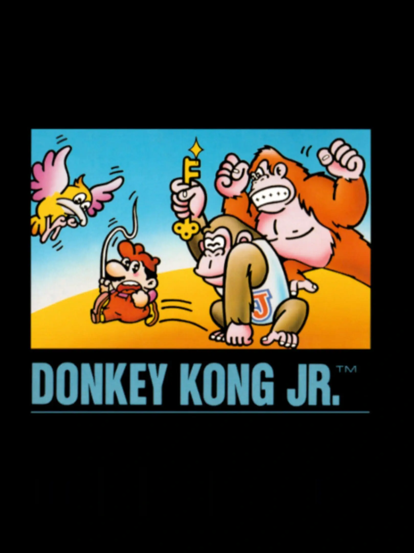 Picture of Donkey Kong Jr. 3