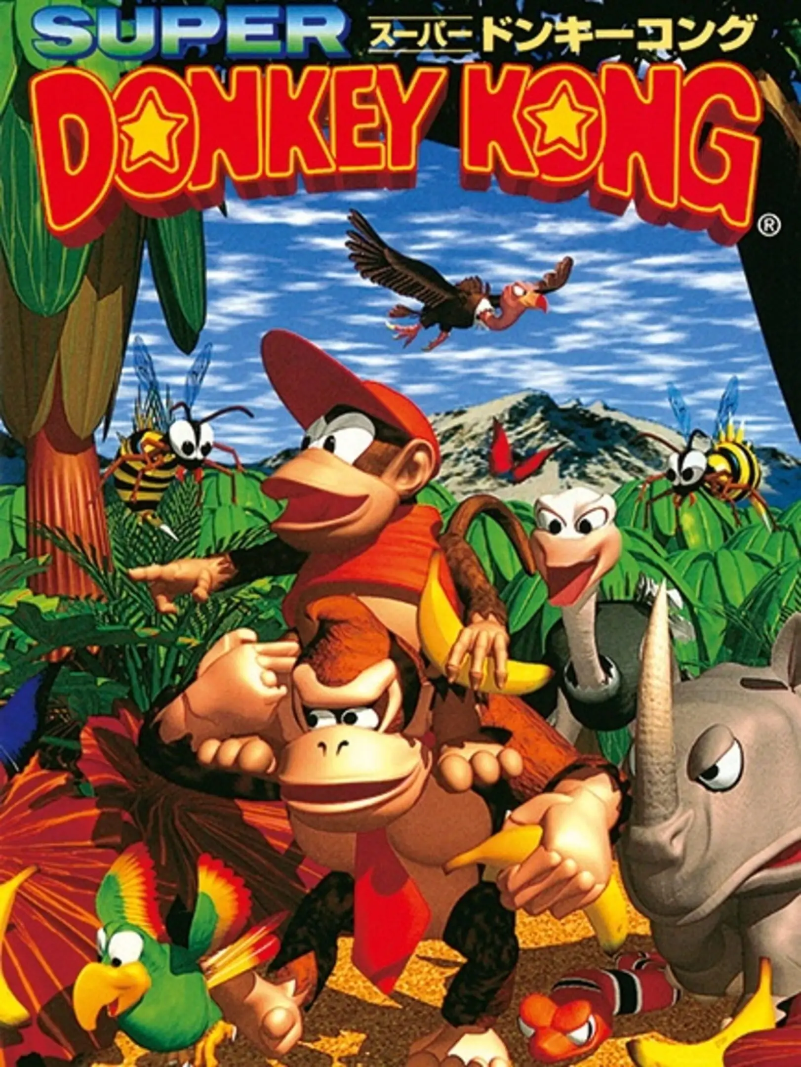 Picture of Donkey Kong Country 2