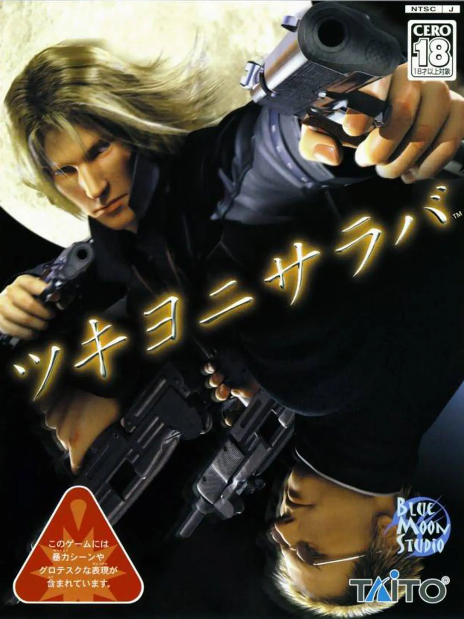 Picture of 10,000 Bullets 2