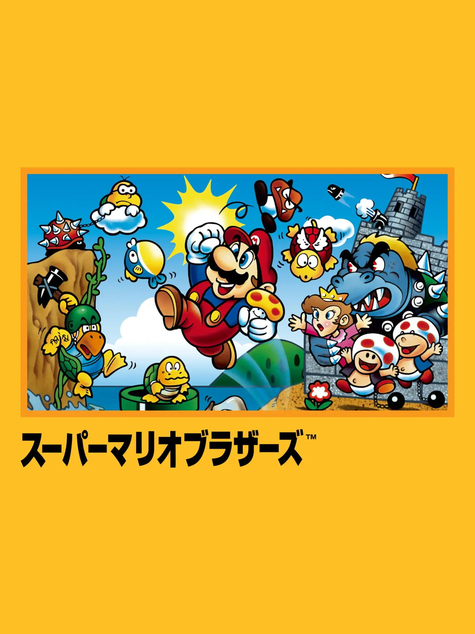 Picture of Super Mario Bros. 3