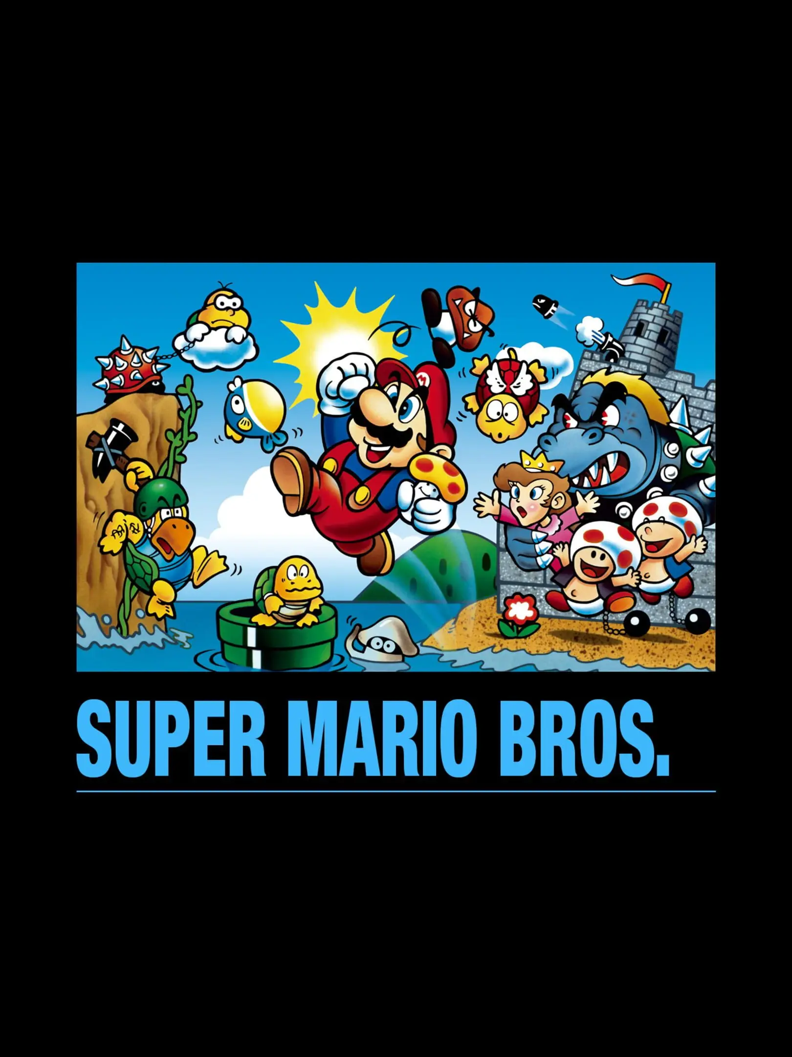 Picture of Super Mario Bros. 2